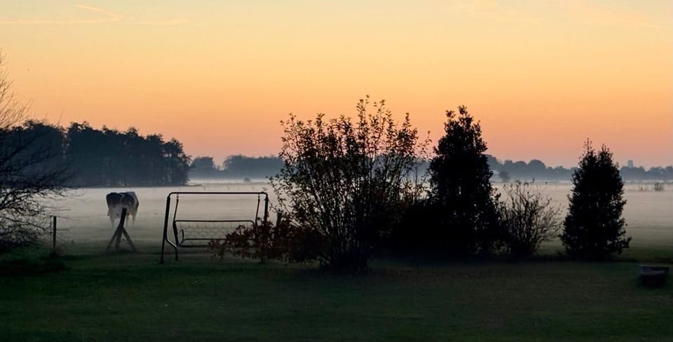 Weilanden rondom het huis